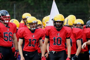 AYX GAME-中超球员年度射门类型结构分类，足球门将射门