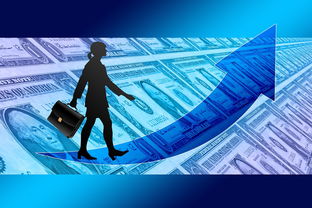 爱游戏体育app-女子赛事门票收入创新高，商业赞助进一步跟进，女子锦标赛